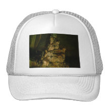 Grutas de la Estrella Cave Formation PICT0108A Mesh Hat