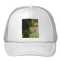 Grutas de la Estrella Cave Formation PICT0111A Mesh Hat