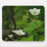 GT spring flowers 1 Mouse Pad