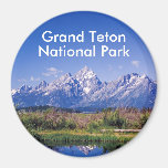 GTNP2 Products Magnets