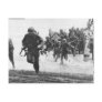 Guadalcanal Landing