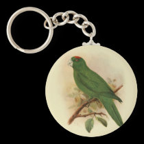 Guadeloupe Parakeet Extinct 1908 keychains