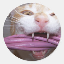 Guard cat sticker