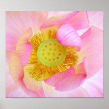 Guarded Gently Print