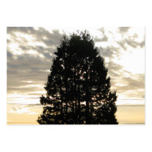 Guardian Tree Business Card
