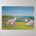 'Guardians of the Valley' Cow Painting posters