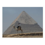 Guarding the pyramids postcard