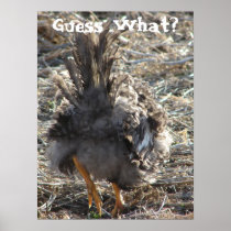 Guess What?  Chicken Butt