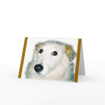 guilty dog greeting card