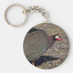 Guinea Fowl Keychains