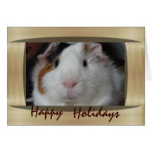 Guinea pig cards