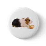 guinea pig eating an apple badge