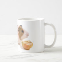 guinea pig eating an apple tasse