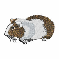 Guinea Pig