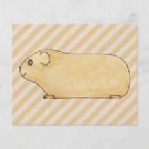 Guinea Pig. Flyers