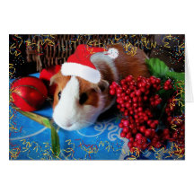 Guinea Pig Holiday Card