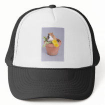 guinea pig in a flowerpot trucker hat