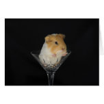 Guinea pig in a wine glass cards