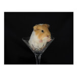 Guinea pig in a wine glass post card