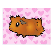 Guinea Pig Love (scruffy) Post Cards