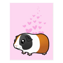 Guinea Pig Love (smooth hair) Post Card