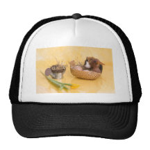 guinea pig mesh hats