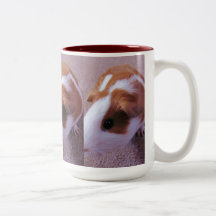 Guinea pig mug