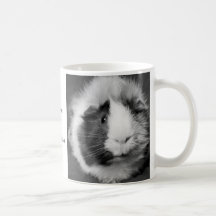Guinea Pig Mug