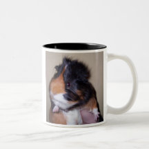 Guinea Pig! Mugs