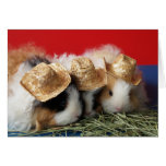 Guinea Pig Note Card