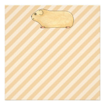 Guinea Pig. Personalized Announcement