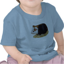Guinea Pig Pet T-shirts