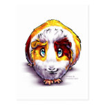 Guinea-pig Post Card
