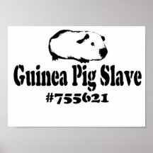 Guinea Pig Slave Posters