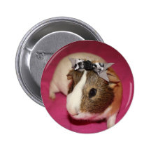 Guinea Pig With Bow 2 Pinback Button