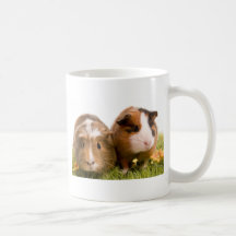 guinea pigs on a lawn tasse