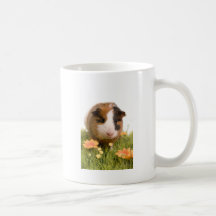 guinea pigs on a lawn tasse à café