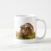 guinea pigs on a lawn tasses