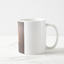 guinea pigs prepared, tasse