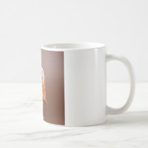 guinea pigs tasses