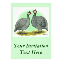 Guineas:  French Personalized Announcement