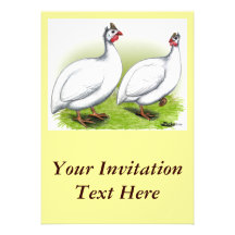 Guineas:  White Invite
