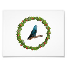 Guirlande de Noël de Linnie Photos