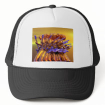 Guitar Frenzy Mesh Hat