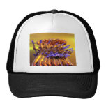 Guitar Frenzy Mesh Hat