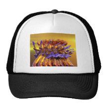 Guitar Frenzy Mesh Hat