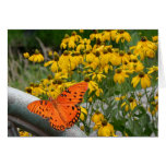 Gulf Fritillary Butterfly Greeting Cards