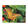 Gulf fritillary butterfly, Mexico  flowers Post Card