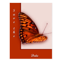 Gulf Fritillary Postcard