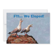 Gull Announcement We Eloped